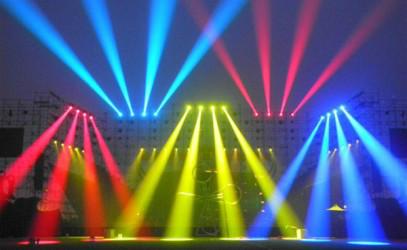 供應(yīng)空中玫瑰批發(fā)，空中玫瑰哪里有賣，空中玫瑰廠家直銷、