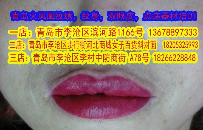 供應(yīng)青島繡眉*的地方火鳳凰