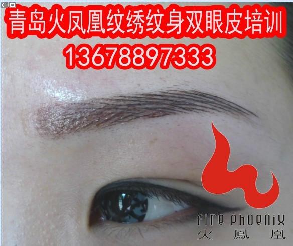 供應(yīng)青島繡眉*的地方火鳳凰