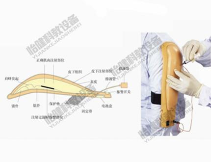 高级电子上臂肉注射训练模型图片