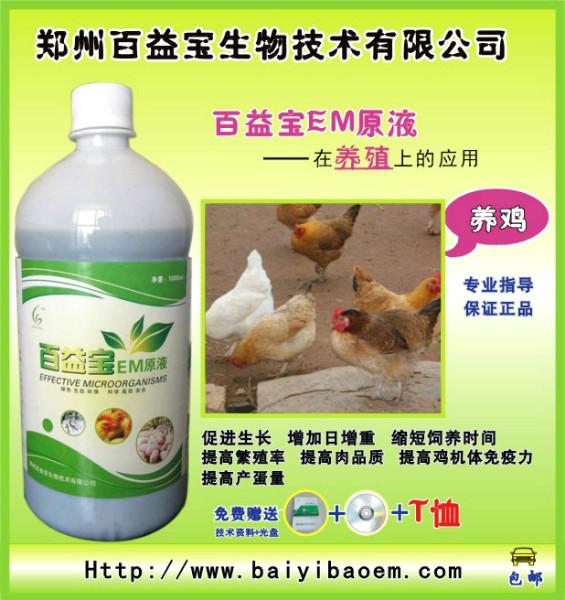 百益宝em菌液在养鸡上的使用及效果em菌养鸡长的快吗？