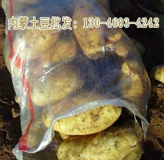 供应内蒙古土豆山东土豆批发土豆价格