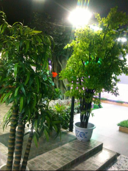 供應(yīng)LED格柵燈盤價(jià)格、山西LED智能燈管報(bào)價(jià)