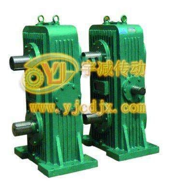 壓片機用600雙出軸二次包絡(luò)減速機圖片