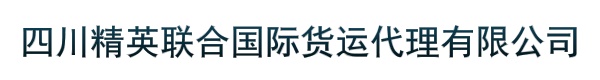 四川精英联合国际货运代理有限公司