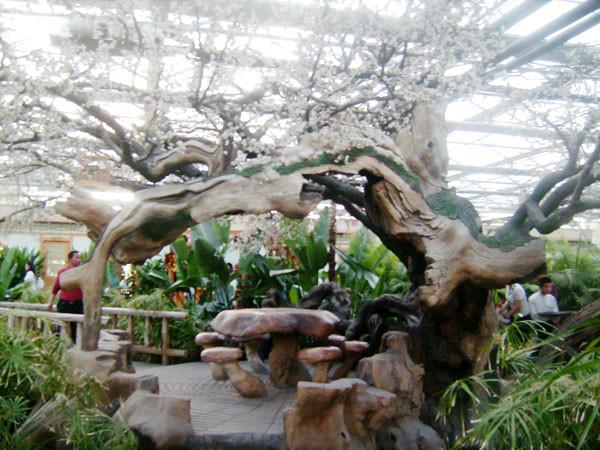 仿真動(dòng)植物圖片/仿真動(dòng)植物樣板圖 (2)